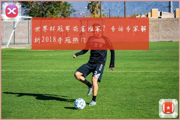 世界杯冠军花落谁家？专访专家解析2018夺冠热门